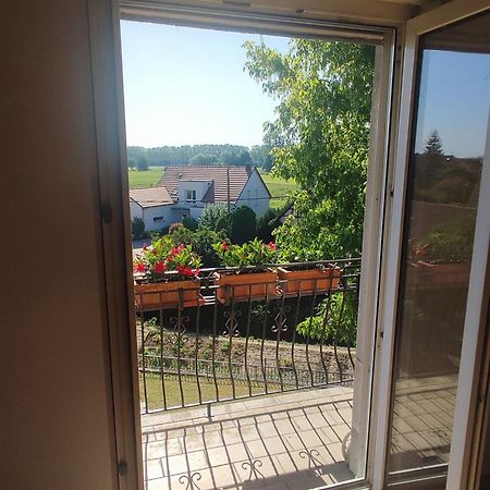 Appartement Des Rives De L'Ehn Krautergersheim Esterno foto
