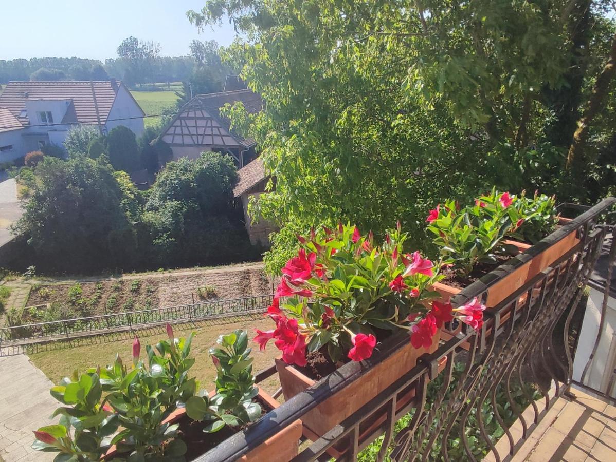 Appartement Des Rives De L'Ehn Krautergersheim Esterno foto