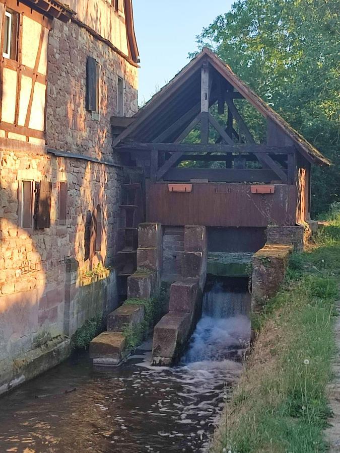 Appartement Des Rives De L'Ehn Krautergersheim Esterno foto