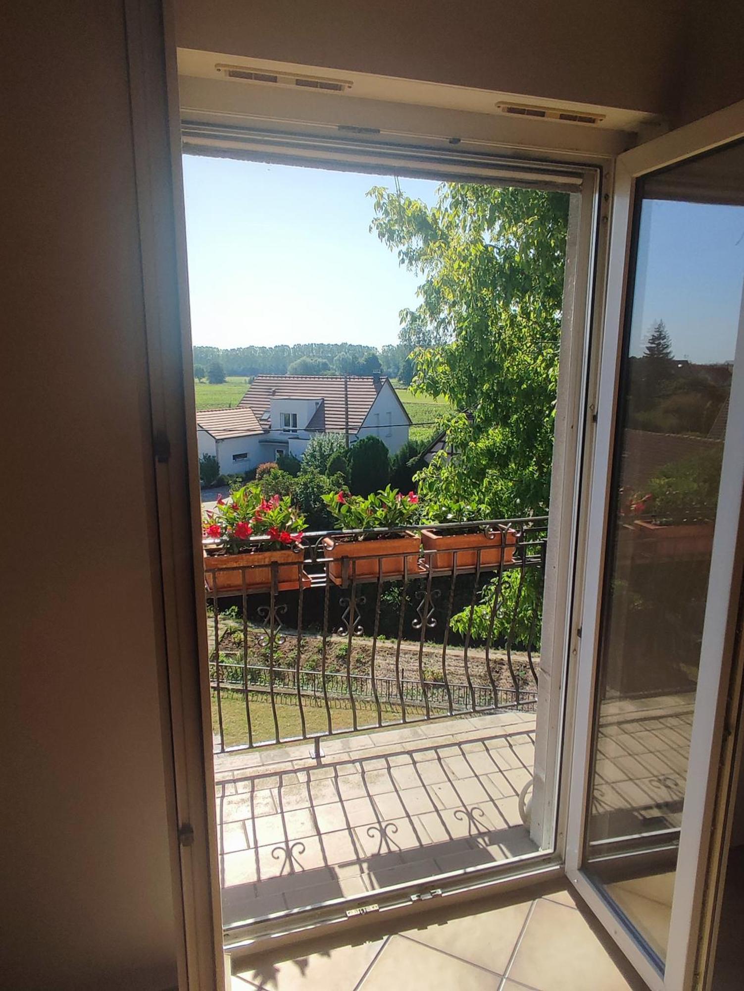 Appartement Des Rives De L'Ehn Krautergersheim Esterno foto