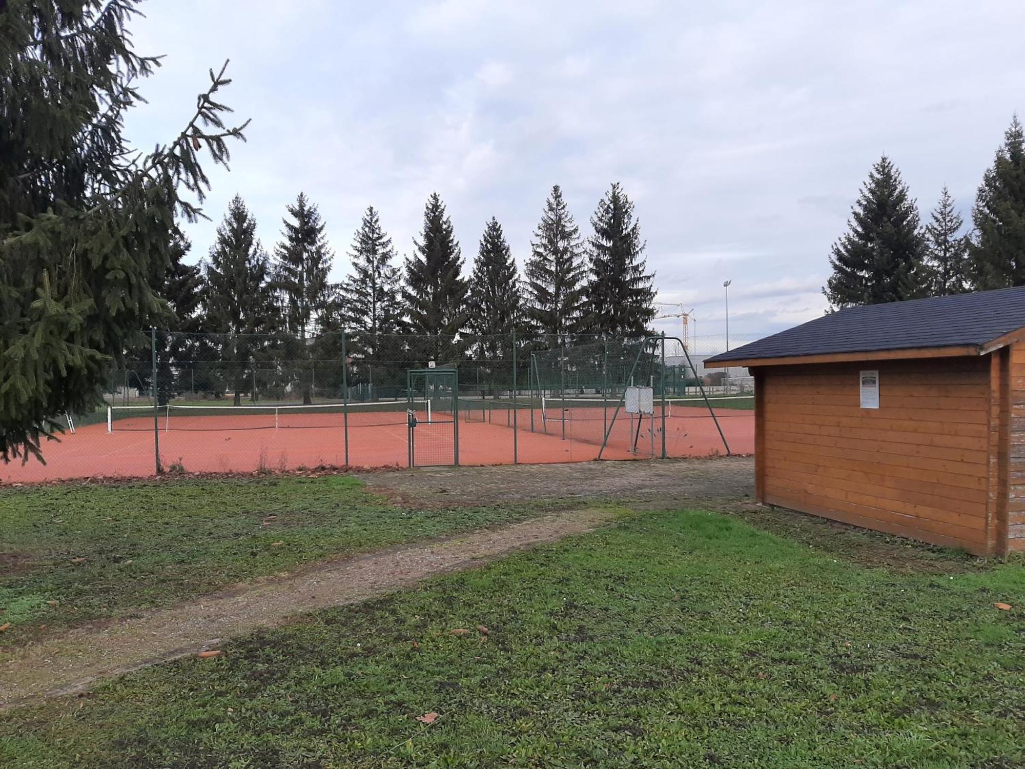 Appartement Des Rives De L'Ehn Krautergersheim Esterno foto